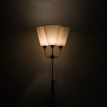 Height adjustable uplight / floor lamp at Studio Schalling