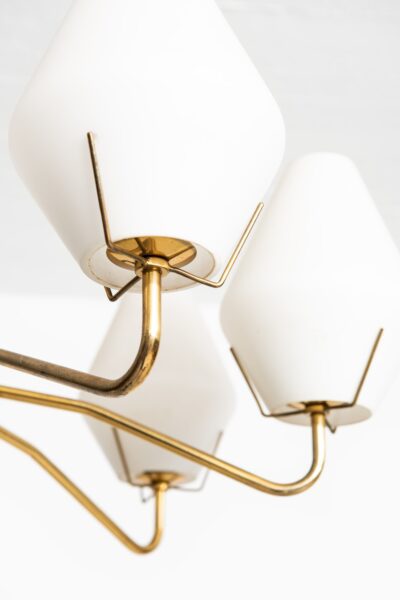 ASEA ceiling lamp in brass and opaline glass at Studio Schalling
