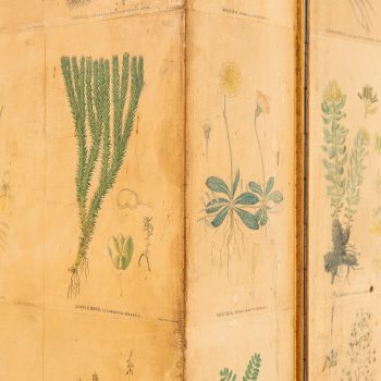 Josef Frank Flora cabinet in mahogany at Studio Schalling