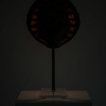 Table lamp in plexiglass and tortouiseshell at Studio Schalling