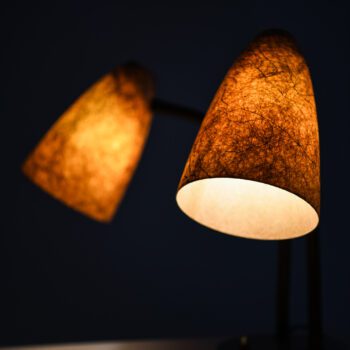 Table lamp with gooseneck arms at Studio Schalling